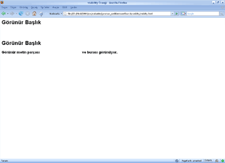 Visibility örneği